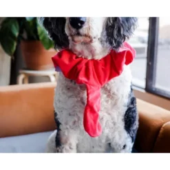 Midlee Turkey Beard & Tail Thanksgiving Dog Costume 9 Midlee Turkey Beard & Tail Thanksgiving Dog Costume -PawHut Store GUEST 413aa7d2 f392 484f 82f6 c15584c409f9