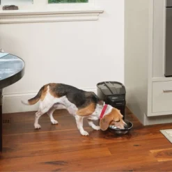 PetSafe Healthy Automated Pet Feeder For Cats And Dogs - Black 13 PetSafe Healthy Automated Pet Feeder For Cats And Dogs - Black -PawHut Store GUEST 43493d7f b524 4ec1 8c36 4379e4f78b5c