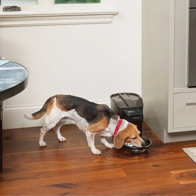 PetSafe Healthy Automated Pet Feeder For Cats And Dogs - Black 7 PetSafe Healthy Automated Pet Feeder For Cats And Dogs - Black - Image 7