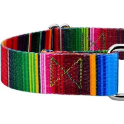 Country Brook Petz Serape Martingale Dog Collar And Leash 7 Country Brook Petz Serape Martingale Dog Collar And Leash -PawHut Store GUEST 44105439 3d20 4077 b3b1 d1683cc2acae