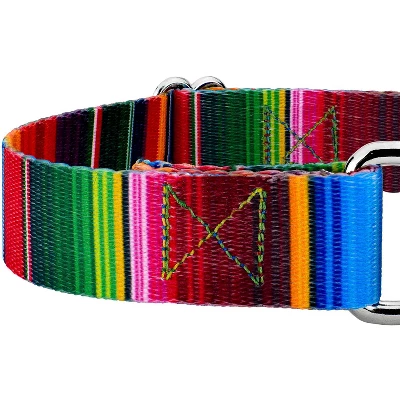 Country Brook Petz Serape Martingale Dog Collar And Leash 3 Country Brook Petz Serape Martingale Dog Collar And Leash - Image 3