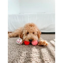 Midlee Valentine Plush Balls Dog Toy - Set Of 6 -PawHut Store GUEST 4544888d 06ba 430b 9179 4074c7887cf4