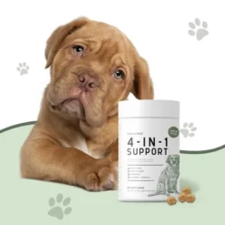 Chew + Heal 4-in-1 Support Multivitamin, Dog Vitamin, Contains Probiotics & Numerous Vitamins - 120 Delicious Chews 7 Chew + Heal 4-in-1 Support Multivitamin, Dog Vitamin, Contains Probiotics & Numerous Vitamins - 120 Delicious Chews -PawHut Store GUEST 45a13644 b74e 4931 b8dd fddc9ec0c58e