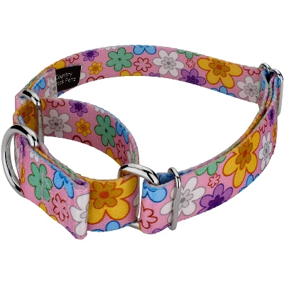 Country Brook Petz May Flowers Martingale Dog Collar 1 Country Brook Petz May Flowers Martingale Dog Collar