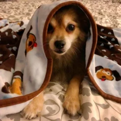 Snuggle Puppy Blanket For Pets - Blue