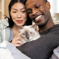 IAMS Proactive Health With Salmon Adult Premium Dry Cat Food -PawHut Store GUEST 4a367acd 783f 4c10 b1a0 d98f5c79827e