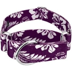 Country Brook Petz 1 1/2 Inch Purple Hawaiian Martingale Dog Collar -PawHut Store GUEST 4a97796b 0282 4fbe a50f 7685bff43d30