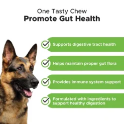 Pet Honesty Probiotic Digestive Support Soft Chews For Dogs, 90 Ct