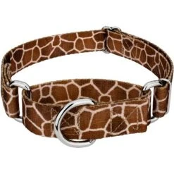 Country Brook Petz Giraffe Martingale Dog Collar -PawHut Store GUEST 4f747c2a 050c 4df5 9de4 b42f8304cdd8