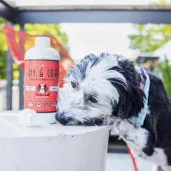 Natural Dog Company Skin & Coat Oil Food Topper - Salmon - 16oz 10 Natural Dog Company Skin & Coat Oil Food Topper - Salmon - 16oz -PawHut Store GUEST 4fe703a2 0577 4c61 adf2 c3d5fac72d70