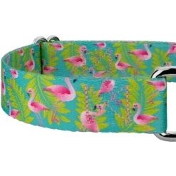 Country Brook Design - Flamingos Martingale Dog Collar -PawHut Store GUEST 501e8660 9838 4856 85bc 0ab31814693d