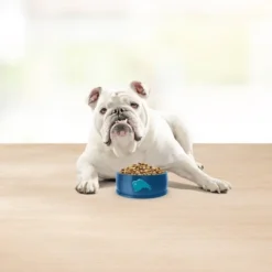 Blue Buffalo Basics Skin & Stomach Care Natural Senior Dry Dog Food With Turkey & Potato Recipe - 4lbs -PawHut Store GUEST 5323b2d3 354f 4a09 8324 0fd0cf62db3d