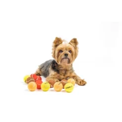 Thanksgiving Dog Tennis Balls 12 Thanksgiving Dog Tennis Balls -PawHut Store GUEST 54639a46 a095 4bad a60e 8ec788f1b9ba