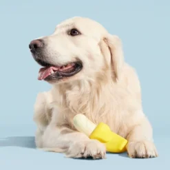 BARK Brawnana Super Chewer Dog Toy 12 BARK Brawnana Super Chewer Dog Toy -PawHut Store GUEST 5483174c 433a 44a9 8044 86622d361341