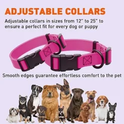 Dogline Biothane Waterproof Collar With QR Buckle Pink -PawHut Store GUEST 54c4c56d 7724 487f ab0f 7b4b0f53ecae