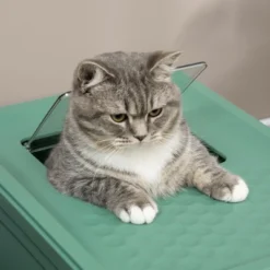 PawHut Hooded Cat Litter Box With Scoop, Enclosed Cat Litter Tray With Front Entry, Top Exit, Portable Pet Toilet With Large Space, Green -PawHut Store GUEST 55049e1d a94e 4283 97db ab7e72d6398e