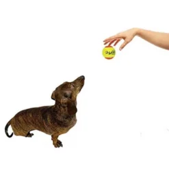 Midlee 2" Yellow/Orange Small Dog Tennis Balls (12-Pack) 5 Midlee 2" Yellow/Orange Small Dog Tennis Balls (12-Pack) -PawHut Store GUEST 55459675 f24d 4316 81ca ab49f4ccfa30