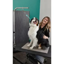 Groomer Essentials Quick Release Loop - Black -PawHut Store GUEST 55473cbd 5ef4 415f ae22 fe3e238cecb0