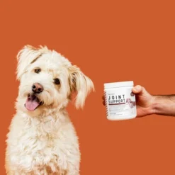 Chew + Heal Hip & Joint Support, Dog Supplement, Increase Pet Mobility & Strength - 120 Delicious Chews 10 Chew + Heal Hip & Joint Support, Dog Supplement, Increase Pet Mobility & Strength - 120 Delicious Chews -PawHut Store GUEST 5561f3a0 e803 4233 aa31 2743059d3227