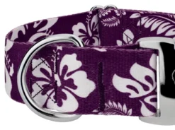 Country Brook Petz 1 1/2 Inch Premium Purple Hawaiian Dog Collar -PawHut Store GUEST 55631a03 5da3 48a6 81c9 9c5815b46cc6