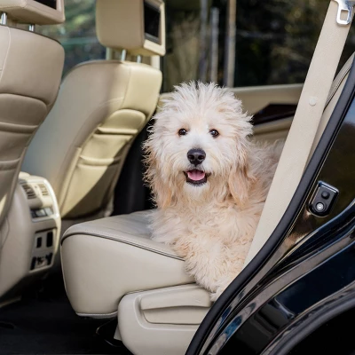 PetSafe Happy Ride Dog Ramp Adapter - Black 3 PetSafe Happy Ride Dog Ramp Adapter - Black - Image 3