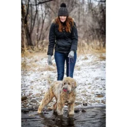 InClover Fresh Digest Daily Digestive Aid Powder For Dogs - Liver And Chicken - 3.5oz -PawHut Store GUEST 56668767 db23 4325 b182 b31f5d2dd70c