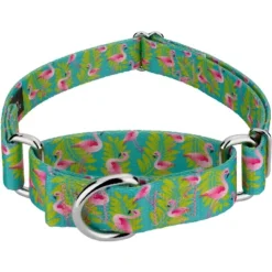 Country Brook Design - Flamingos Martingale Dog Collar -PawHut Store GUEST 573457ac aae5 4e8e bf94 c41e91e0d167