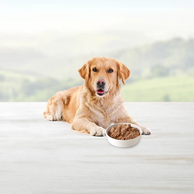 Blue Buffalo Homestyle Recipe Chicken & Beef Pate Wet Dog Food Variety Pack For Adult Dogs With Whole Grain - 12.5oz/6ct 4 Blue Buffalo Homestyle Recipe Chicken & Beef Pate Wet Dog Food Variety Pack For Adult Dogs With Whole Grain - 12.5oz/6ct - Image 4