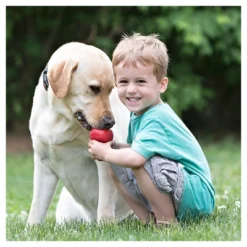 KONG Refillable Classic Chew Dog Toy - Red -PawHut Store GUEST 58112397 e45f 41f1 83f4 b67ccc1cc89a