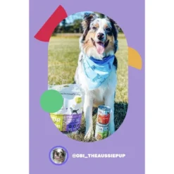 I And Love And You Multipack (Cluckin' Good Stew & Gobble It Up Stew) Chicken/Turkey Wet Dog Food - 13oz/6pk -PawHut Store GUEST 590aba61 b0a4 4687 b2a6 02e691d7fc21