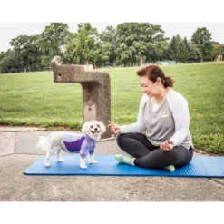 Pet Life Active Barko Pawlo Relax-Stretch Wick-Proof Dog And Cat Polo T-Shirt - Purple - XS -PawHut Store GUEST 5a6e2d5f 9a2d 410d 9ee2 fc5ee569d664