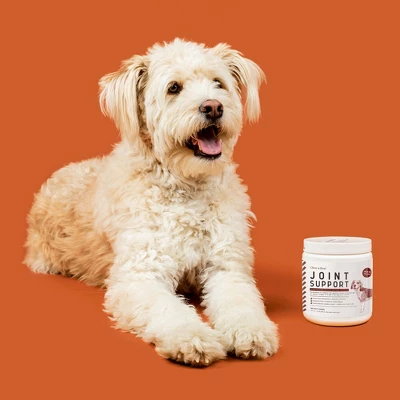 Chew + Heal MaxProtect Hip + Joint Support, Dog Supplement & Multivitamin - 240 Delicious Total Chews 6 Chew + Heal MaxProtect Hip + Joint Support, Dog Supplement & Multivitamin - 240 Delicious Total Chews - Image 6