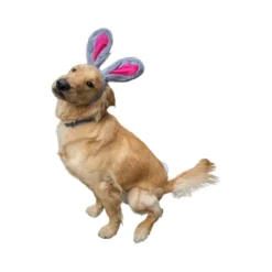 Midlee Easter Bunny Gray & Pink Rabbit Ears For Large Dogs Headband With Tail -PawHut Store GUEST 5b53873e a64b 40ca b4ee 00959d7dcdf0