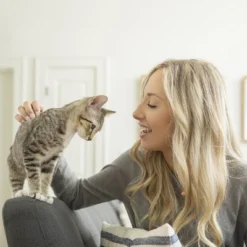 PetSafe ScoopFree Phone App Connected Smart Self-Cleaning Cat Litter Box - Beige -PawHut Store GUEST 5be3ed39 5737 46f8 9f51 bb188765a1eb