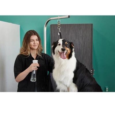 Groomer Essentials Continuous Spray Bottle 12 Oz. 1 Groomer Essentials Continuous Spray Bottle 12 Oz.