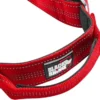 Black Rhino Neoprene Padded Tactical Dog Collar - Large - Red