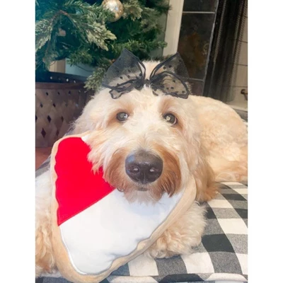 Midlee Christmas Sugar Cookie Plush Dog Toy 1 Midlee Christmas Sugar Cookie Plush Dog Toy