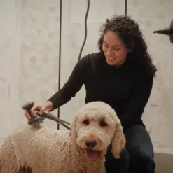 PawSpa PetJetPro 11-Setting Handheld Pet Washer - Gray 28 PawSpa PetJetPro 11-Setting Handheld Pet Washer - Gray -PawHut Store GUEST 5e615830 0dc7 48bb b9ae f6bfbfe3e693