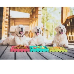 ANYPET - Slow Feeding Mat, Tray, Slow Feeder Dog Bowls, Food Mat For Dog, Dog Lick Pad Anxiety Relief Feeding Mat With Suction, Multicolor -PawHut Store GUEST 5f7e78c1 9bce 44fd ad97 cd3d00ff7985