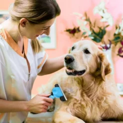 BOSHEL Deshedding Dog Brush – Upgraded Easy Clean Dog Grooming Brush Reduces Shedding Up To 95% - Deshedding Tool For Pets Of Long & Short Hair Pet 13 BOSHEL Deshedding Dog Brush – Upgraded Easy Clean Dog Grooming Brush Reduces Shedding Up To 95% - Deshedding Tool For Pets Of Long & Short Hair Pet -PawHut Store GUEST 6071e045 7417 465f 9d61 27ffc69e99cc