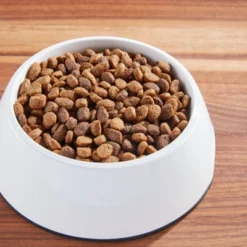 IAMS Advanced Chicken With Live Probiotics Adult Dry Dog Food -PawHut Store GUEST 65e006c5 551b 48c6 9344 bdeb0e6d4390