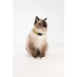 Tickless Natural Flea & Tick Repellent For Cats - Black