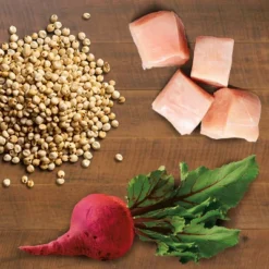 IAMS Advanced Immune Health With Salmon & Chicken Flavor Adult Dry Cat Food - 7lbs -PawHut Store GUEST 66d330df 9ef0 4711 8a8c c92c18635478