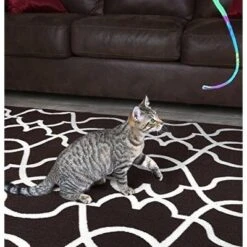 Cat Dancer Cat Toy Cat Charmer Rainbow Wand Teaser 1 Pack 9 Cat Dancer Cat Toy Cat Charmer Rainbow Wand Teaser 1 Pack -PawHut Store GUEST 6703caa1 c090 4a72 b53f 097530d654c4
