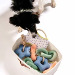 AWOO Comet's Tail Dog Toy -PawHut Store GUEST 67e6d880 7984 4024 8048 2f26a45addca