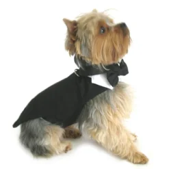 Doggie Design Black Dog Harness Wedding Tuxedo W/Tails, Bow Tie, And Cotton Collar -PawHut Store GUEST 686d5dbf dbc2 43cd 9be9 caba38835c9a