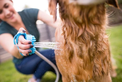 Aquapac Aquapaw Dog Bath Brush - Sprayer And Scrubber 4 Aquapac Aquapaw Dog Bath Brush - Sprayer And Scrubber - Image 4