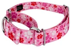 Country Brook Design Puppy Love Martingale Dog Collar