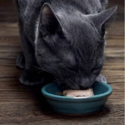 Sheba Kitten Soft Pate Perfect Portions Wet Cat Food With Salmon & Chicken Flavor - 31.7oz/12ct -PawHut Store GUEST 6b576889 97c8 4113 a209 22e3263104ba