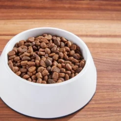 IAMS Proactive Health Chicken & Whole Grains Recipe Puppy Premium Dry Dog Food 10 IAMS Proactive Health Chicken & Whole Grains Recipe Puppy Premium Dry Dog Food -PawHut Store GUEST 6bb61b5f b495 4c9d 8175 f94d908864ea